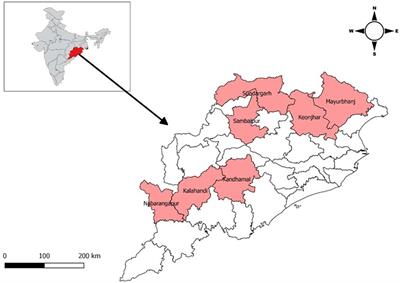 Hepatitis B virus infection among the tribal and particularly vulnerable tribal population from an eastern state of India: Findings from the serosurvey in seven tribal dominated districts, 2021–2022